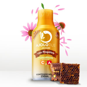 AJOLOMIEL PROPOLEO Y EQUINACEA JBE FCO c/250 ML